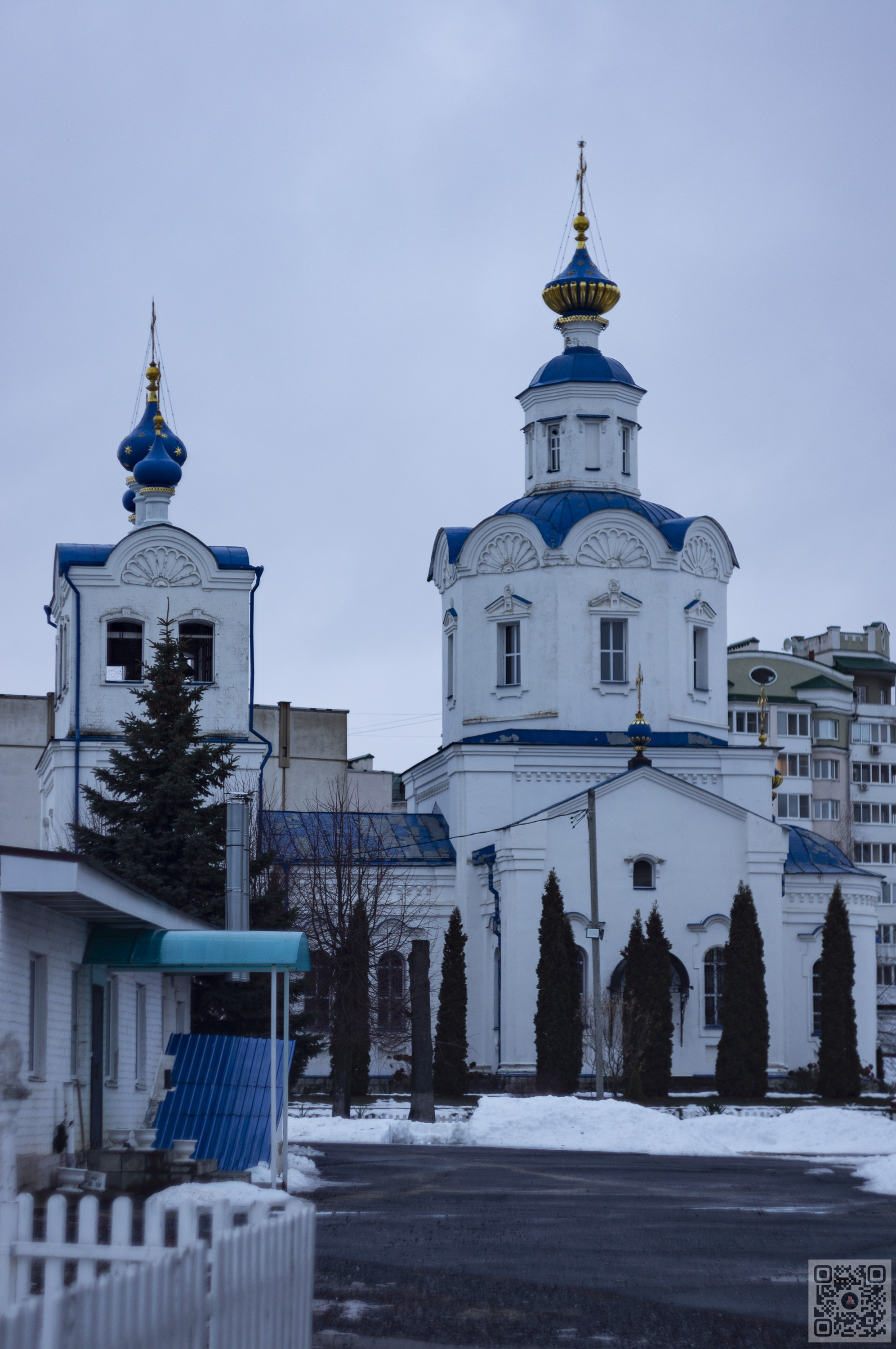 Орёл постновогодний | Пикабу