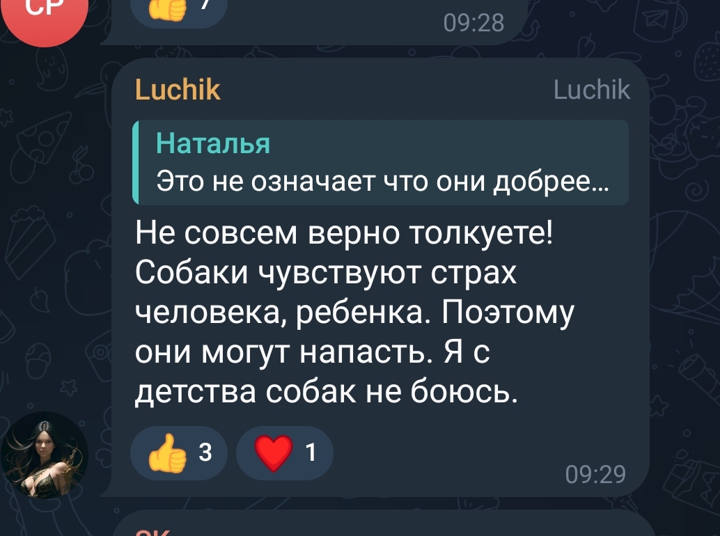 Волгоград. Собаки нападают на людей | Пикабу