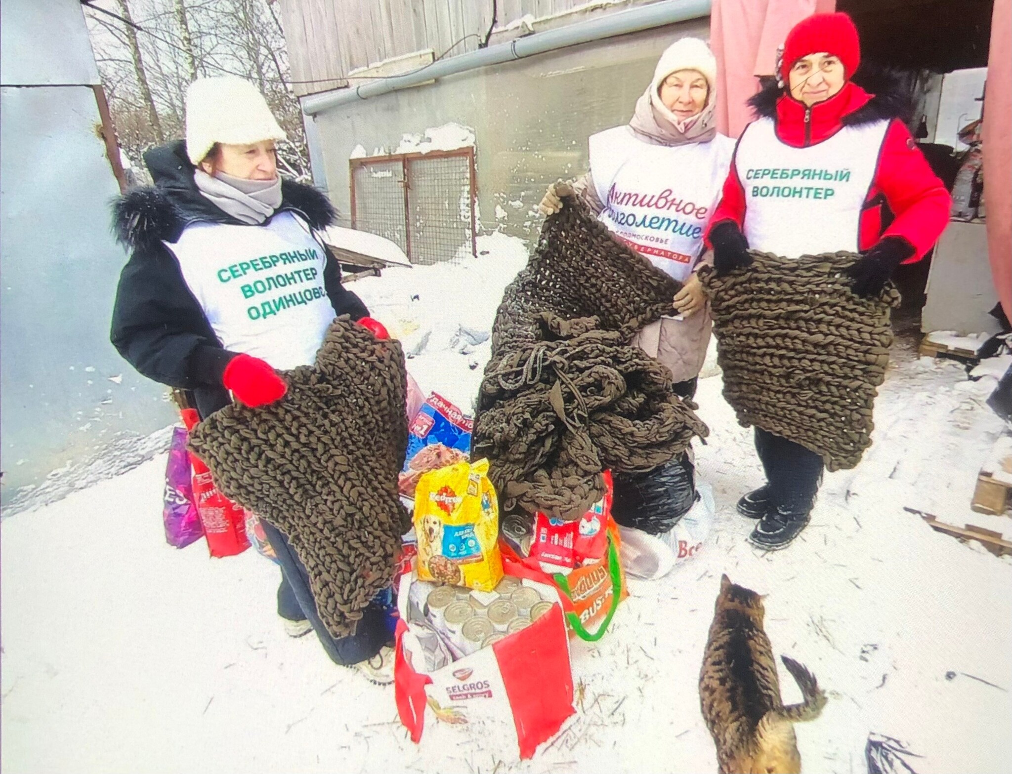 Вчера посетили приют для животных Благотворительного фонда ГАВ | Пикабу