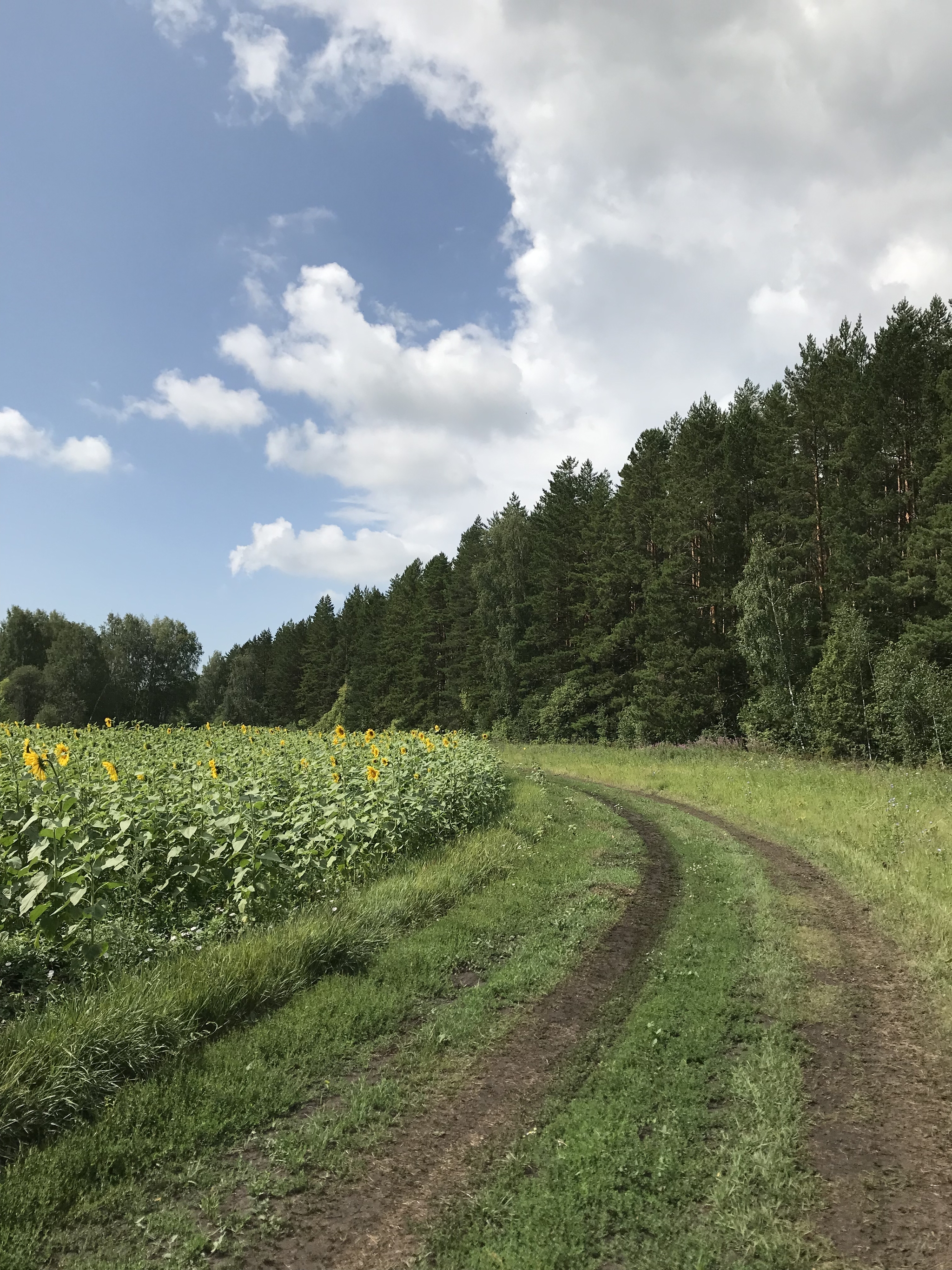 Как детское велосипедное кресло украсило мои декретные будни в селе | Пикабу