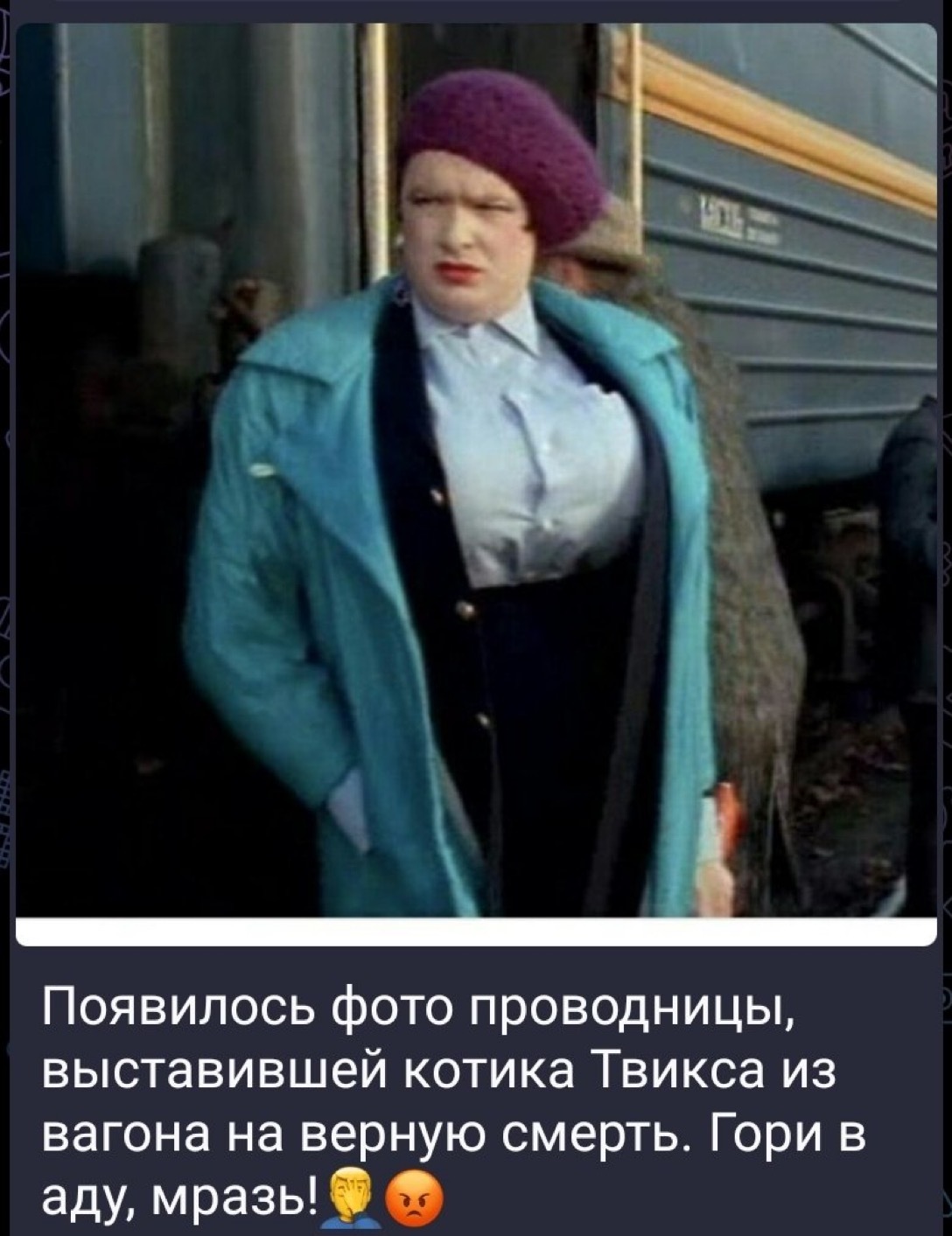 проводница Эвакуационный поезд с четырехлапой Николь - история собаки-проводницы |  Стайлер