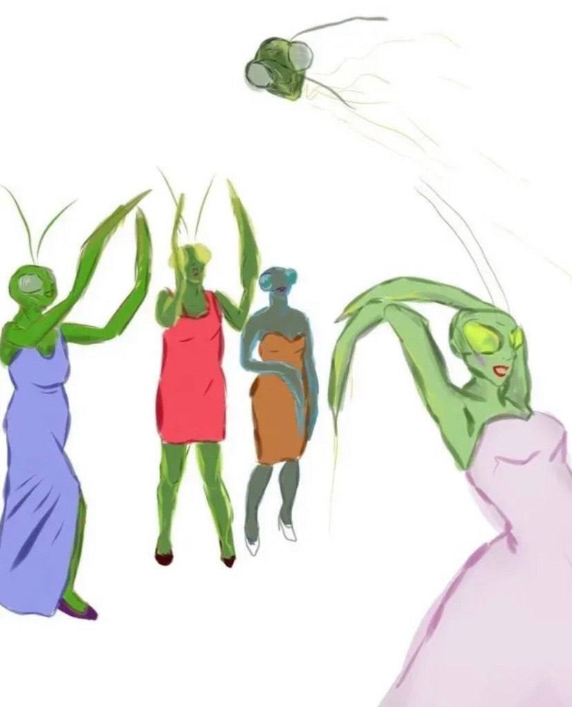 Свадьба богомолов | Пикабу