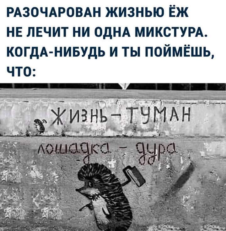 170659724919774103.jpg