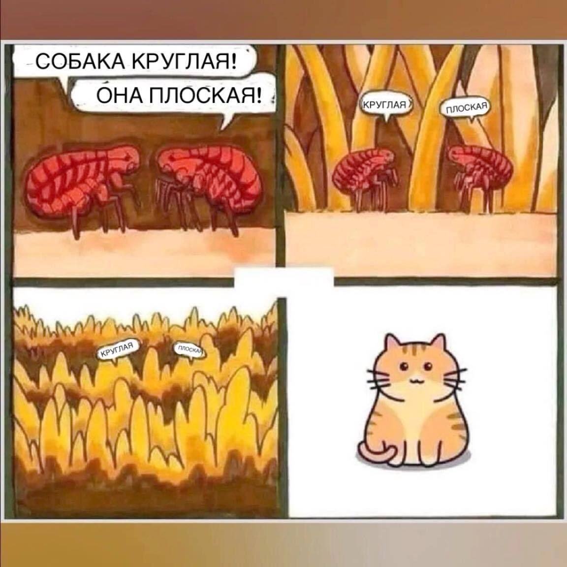 Спор | Пикабу