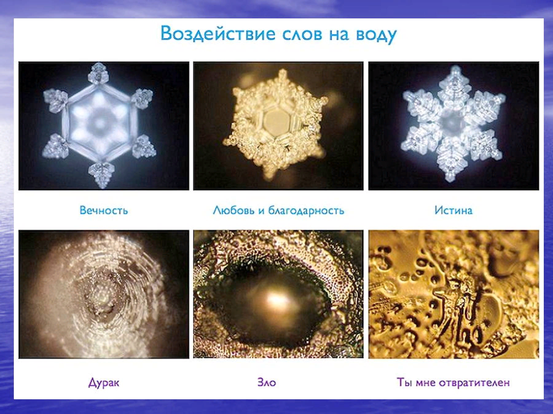 Сила слов исцеляющих, спасающих, животворящих | Пикабу