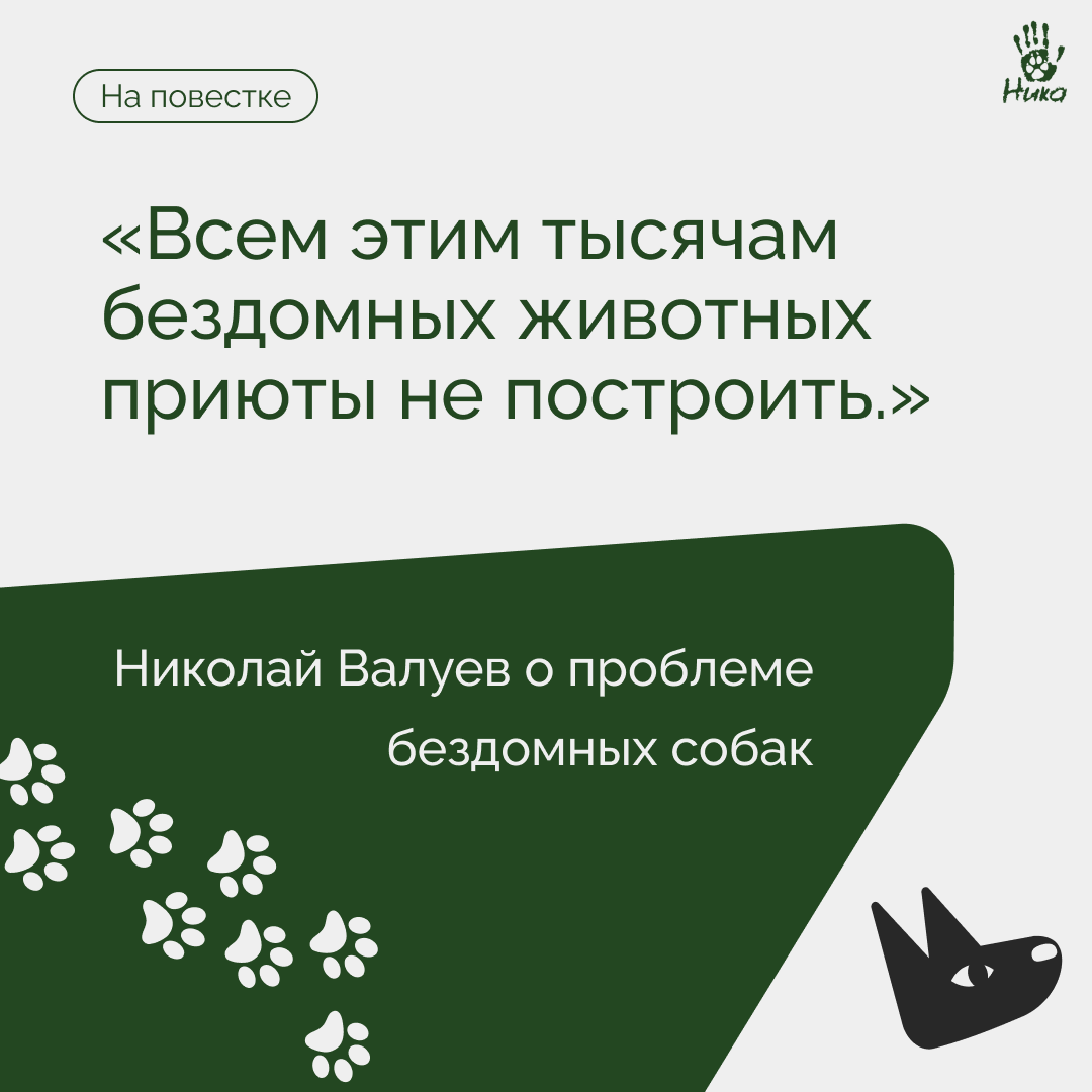 Обратно они не возвращались» - Николай Валуев высказался о теме отлова  бездомных животных | Пикабу