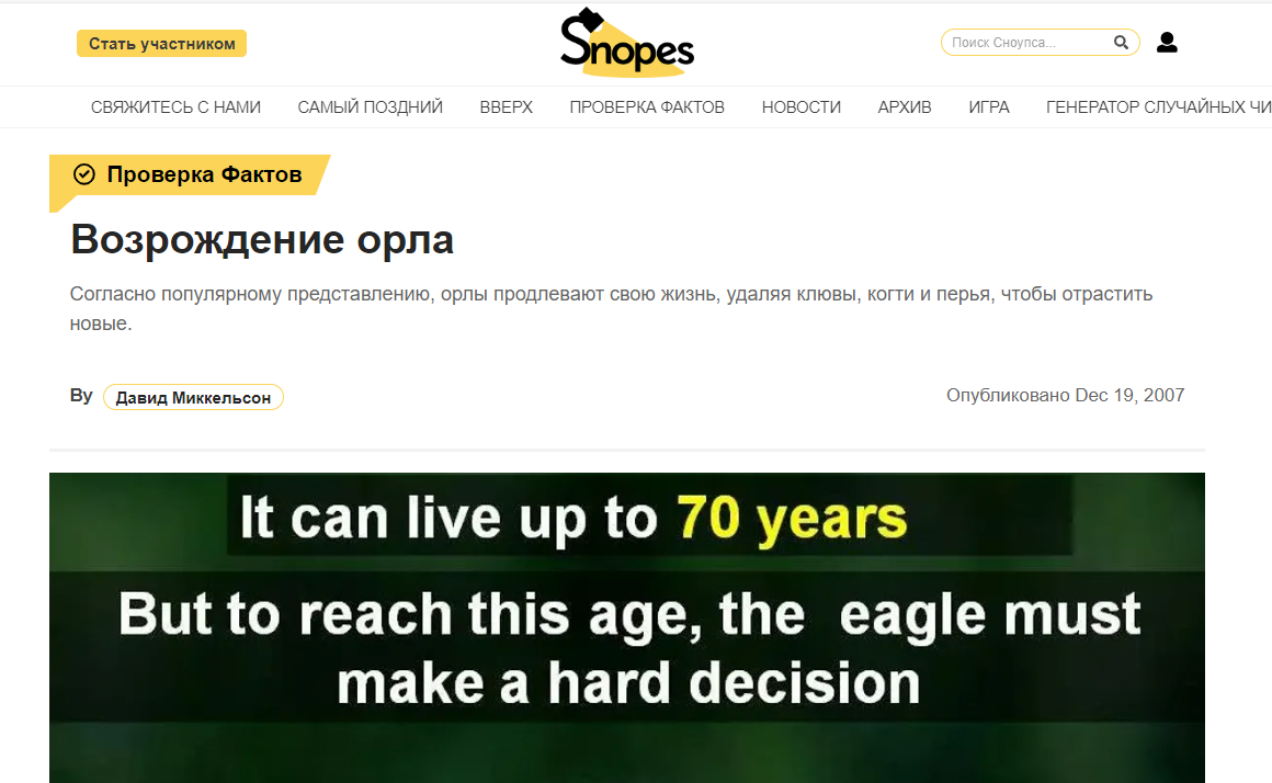 Орлы удаляют клюв, когти и перья, чтобы продлить себе жизнь: правда или  фейк? | Пикабу