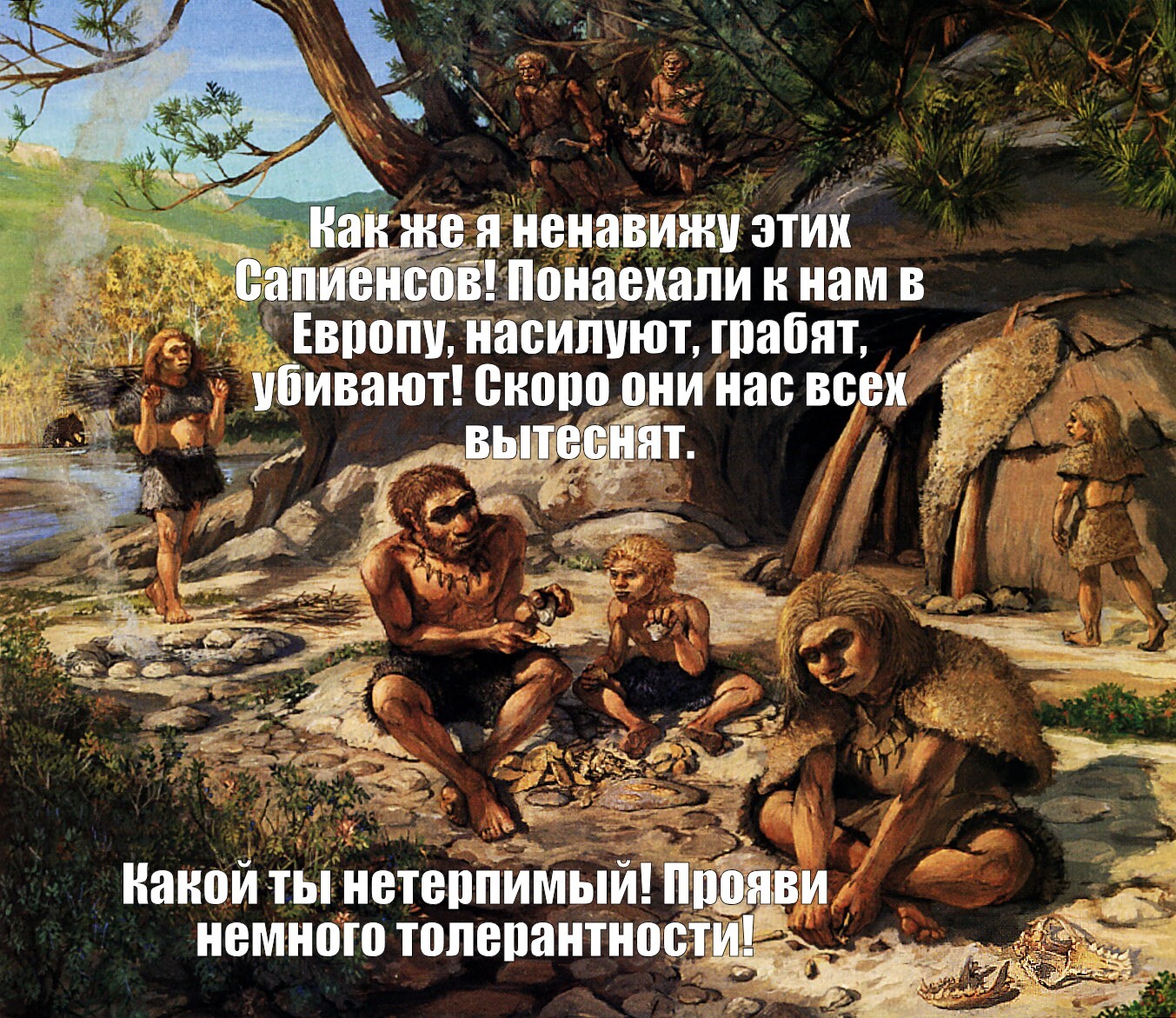 Толерантность | Пикабу