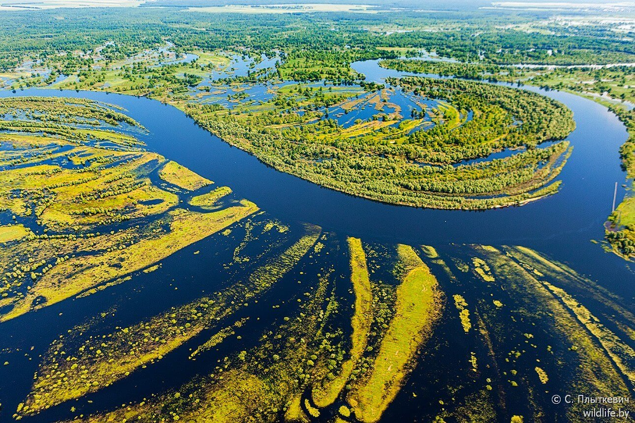 Туры в Беларусь. Полесье. Море Геродота | Пикабу