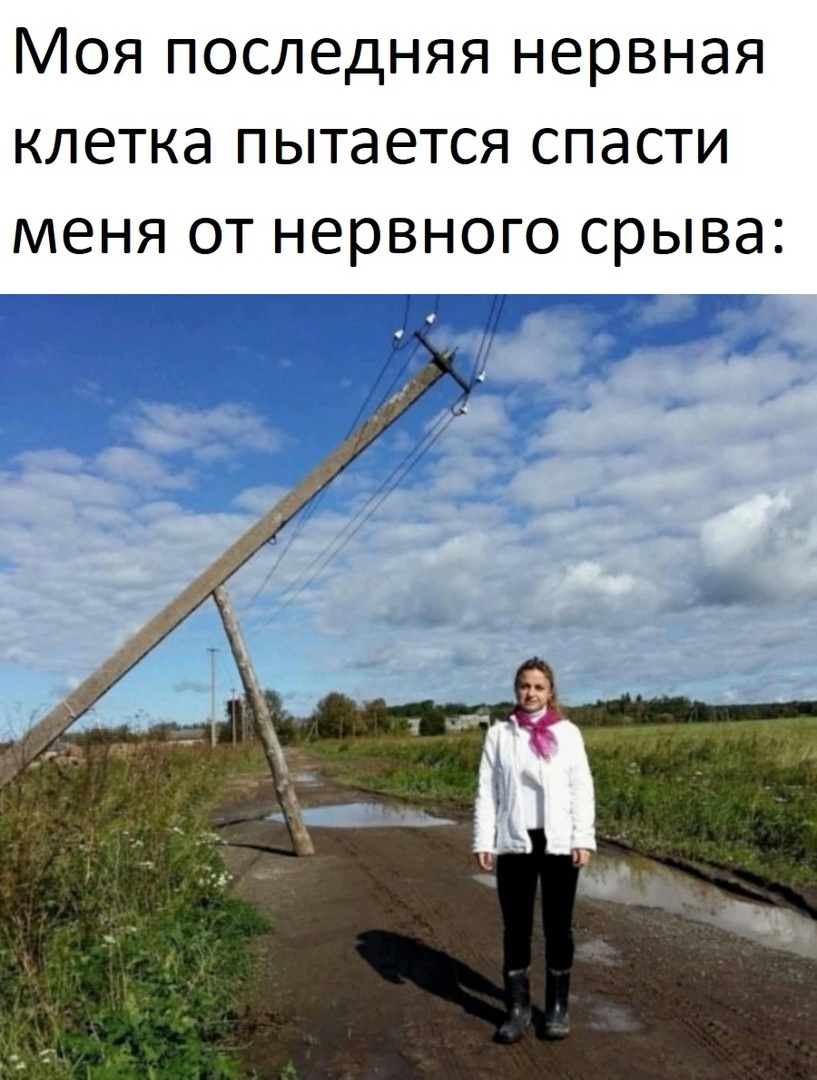 Всё верно | Пикабу