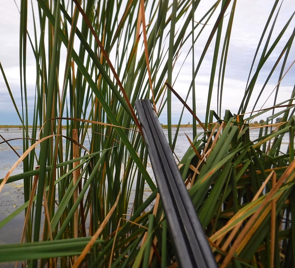 С праздником, охотники и рыбаки! | Пикабу