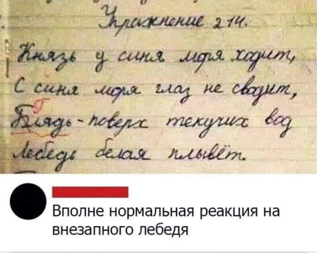 Внезапный лебедь | Пикабу