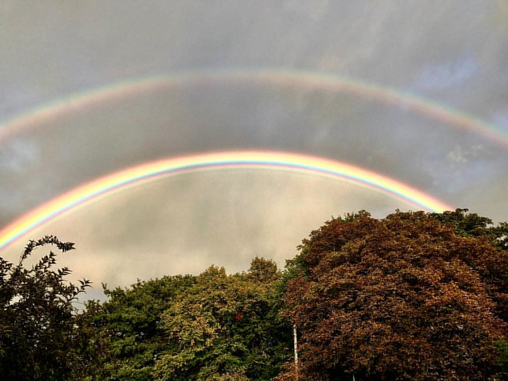 Rainbow | Пикабу