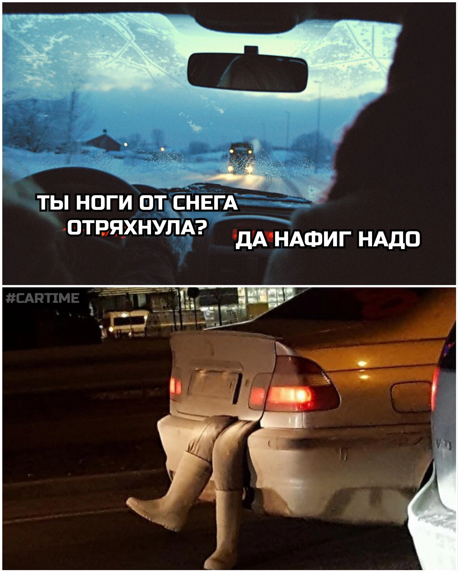 Снежок... | Пикабу