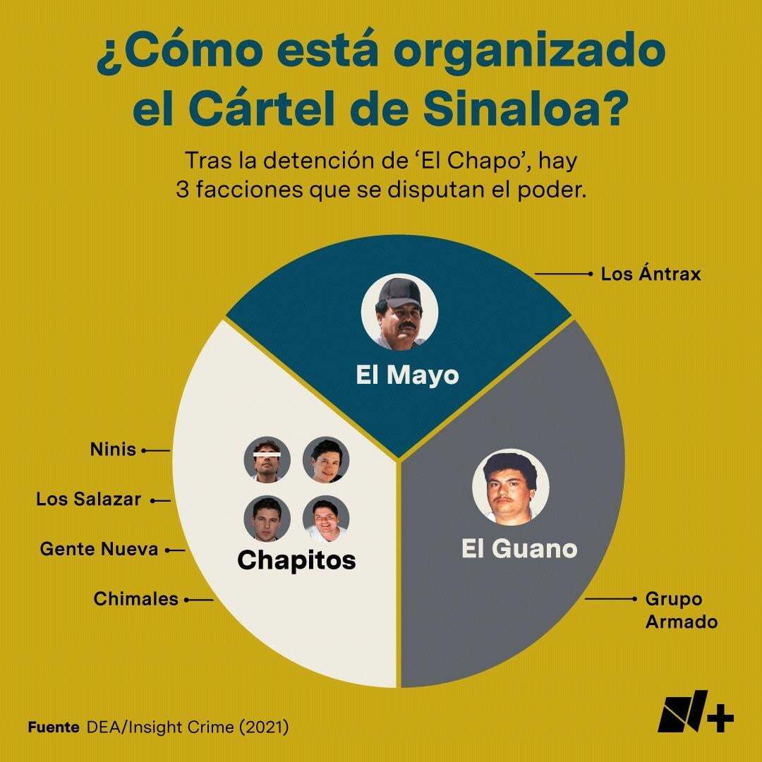 Структура мексиканских наркокартелей | Пикабу