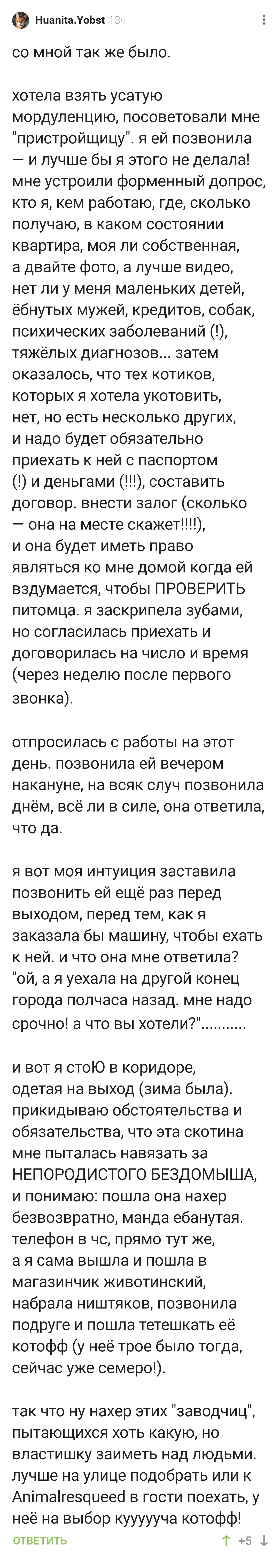 Иногда зоозащитницы бывают на всю голову ё... нездоровыми | Пикабу