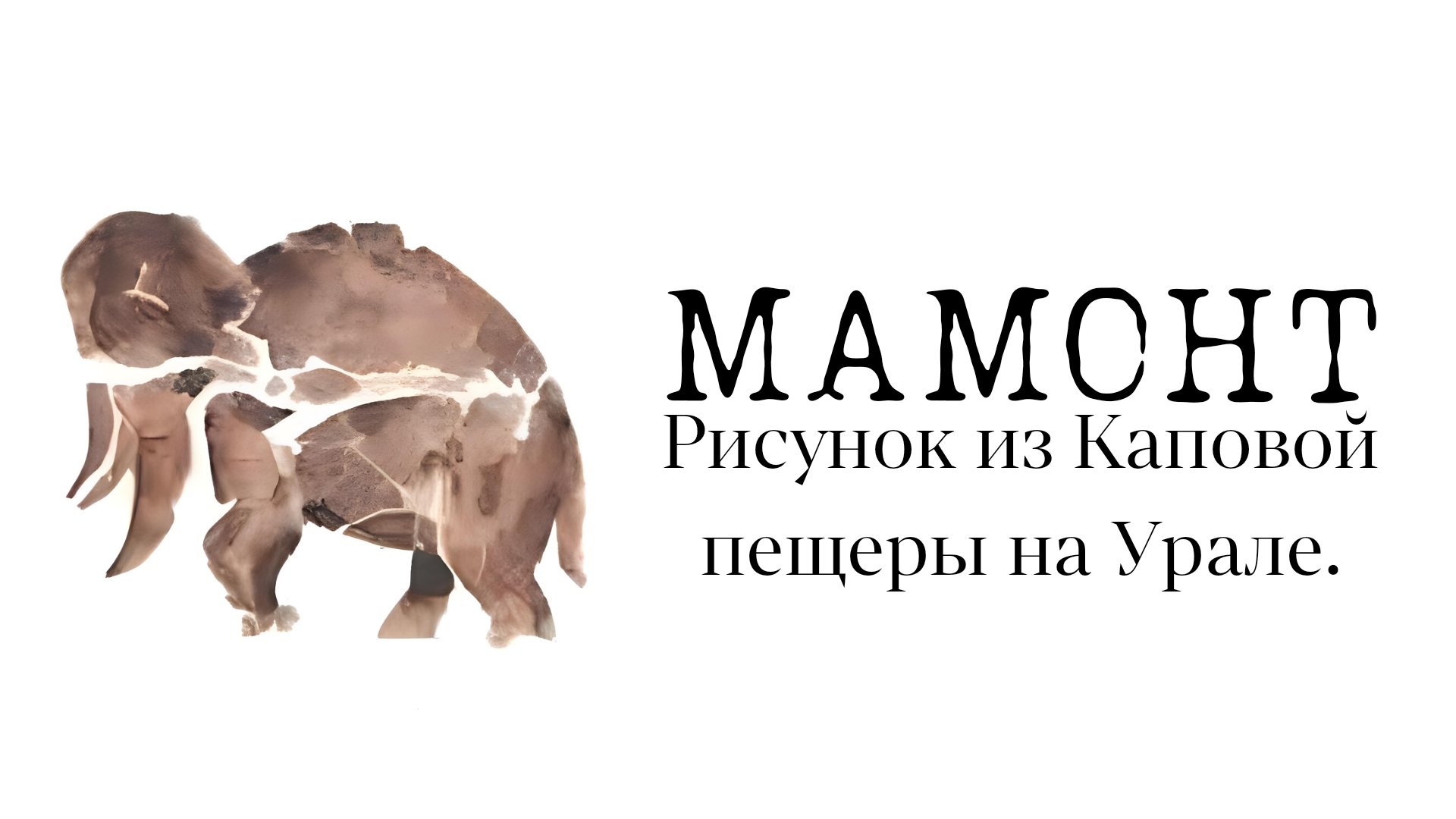 Русская община: истории из жизни, советы, новости, юмор и картинки — Все  посты | Пикабу