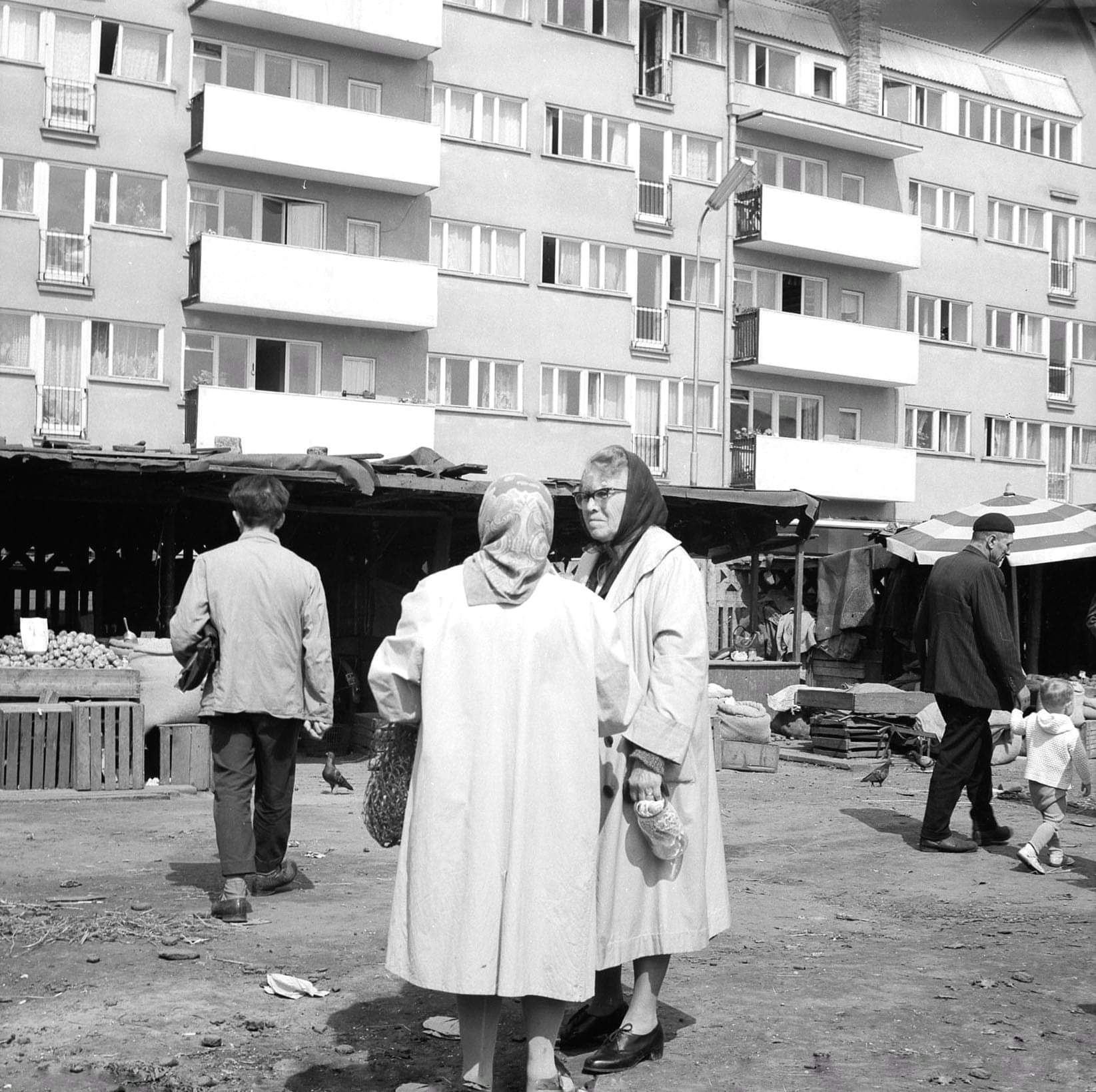 Бабки | Пикабу