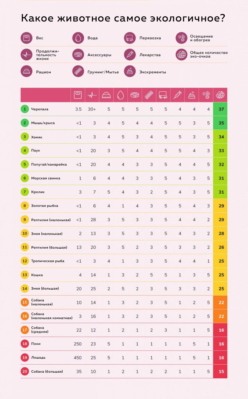 Какое домашнее животное наносит меньше всего вреда экологии? | Пикабу