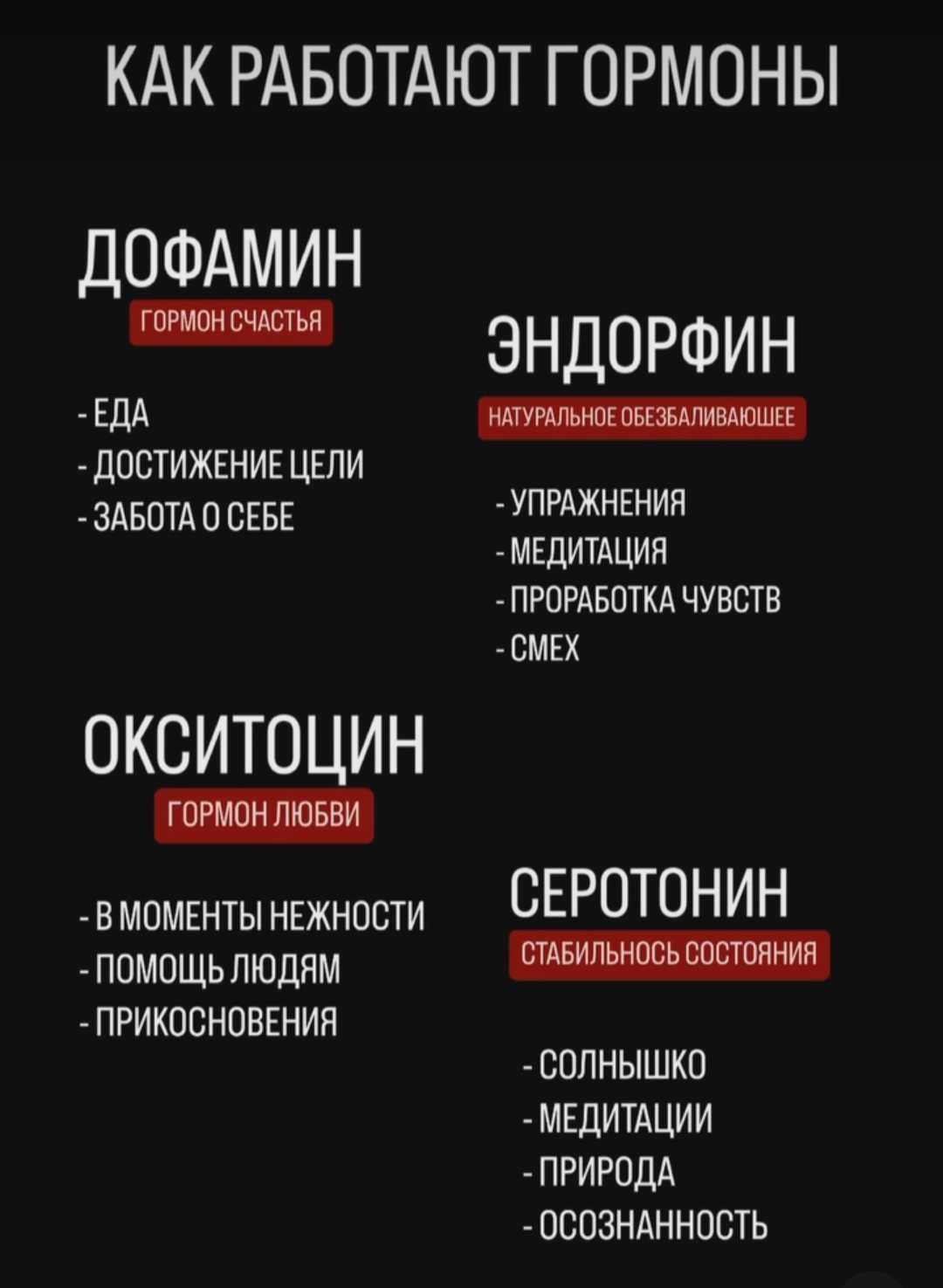 БДСМ задания для нижних: Как разнообразить и укрепить ваш опыт в отношениях