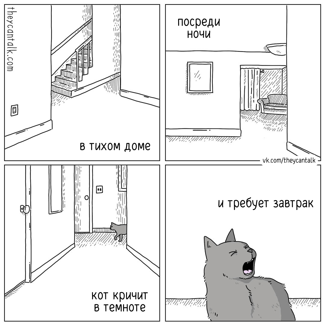 Ночь | Пикабу