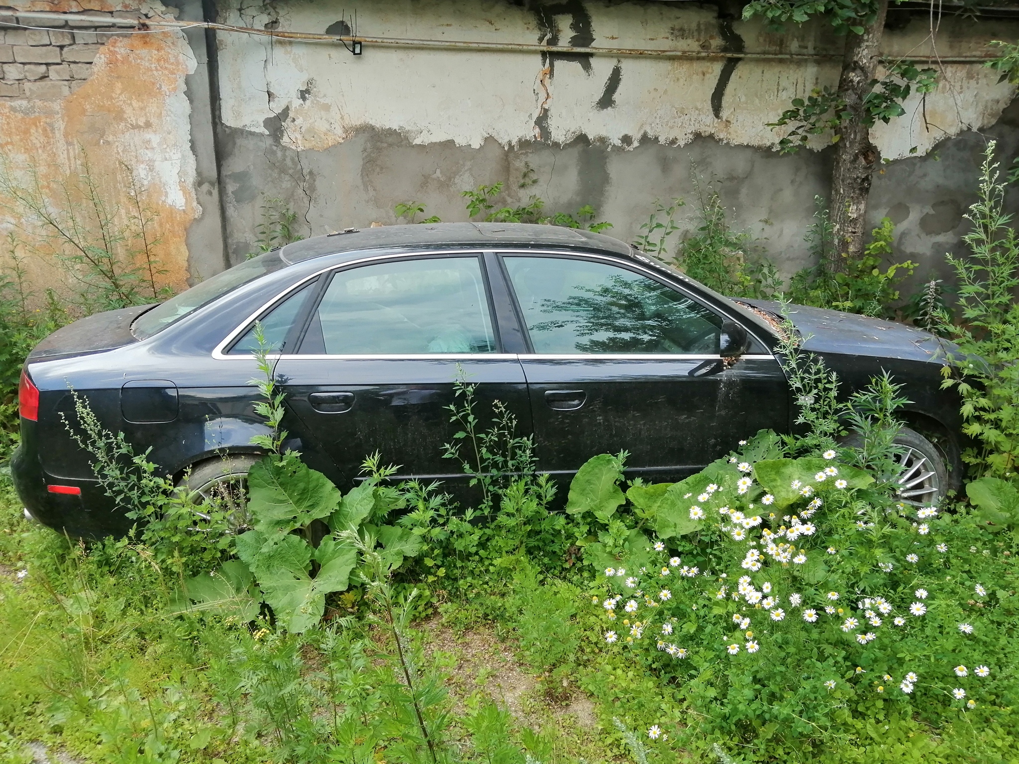 Купить Битое Авто В Ульяновске На Авито