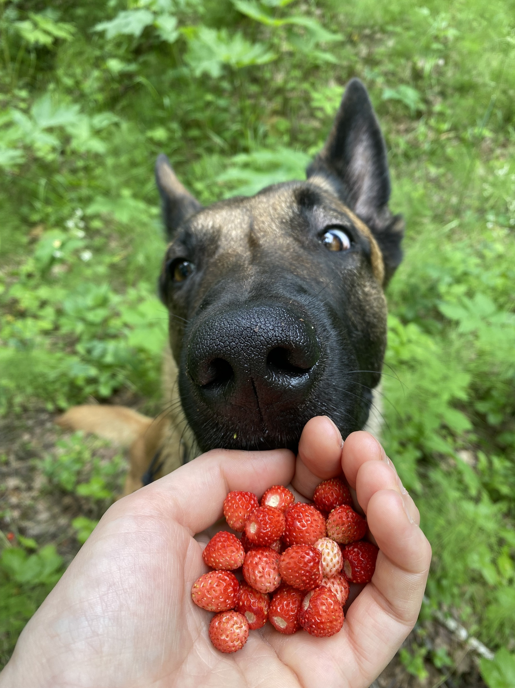 Окно в лето | Пикабу