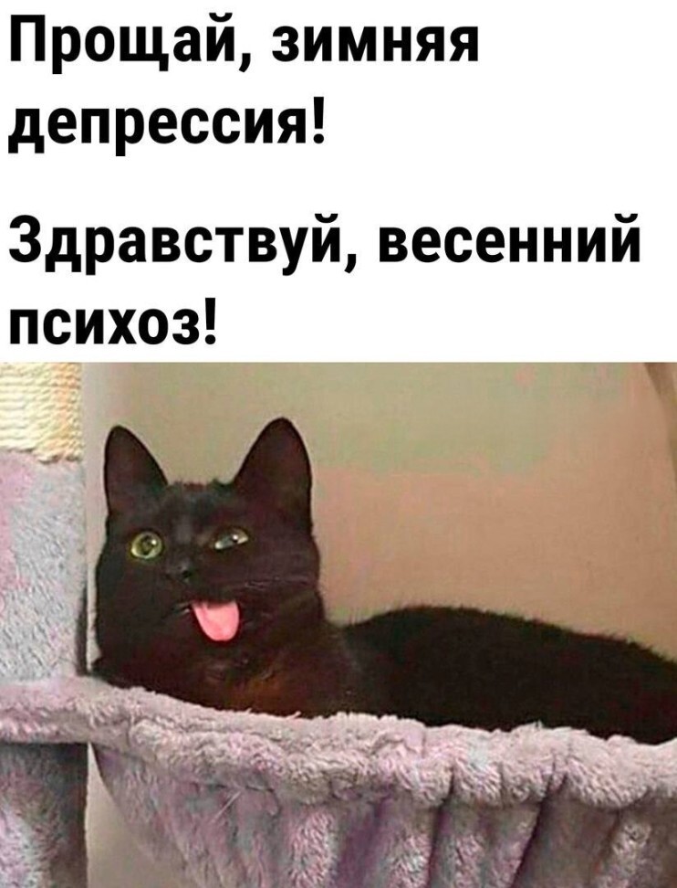 Психология | Пикабу