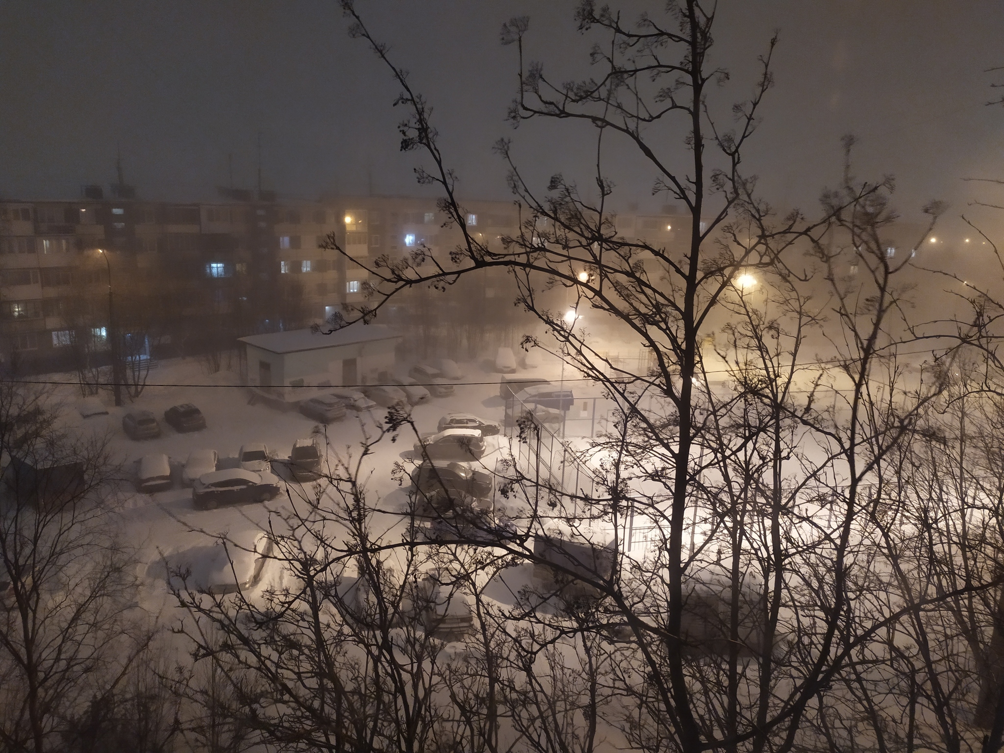 Опять вьюга... | Пикабу