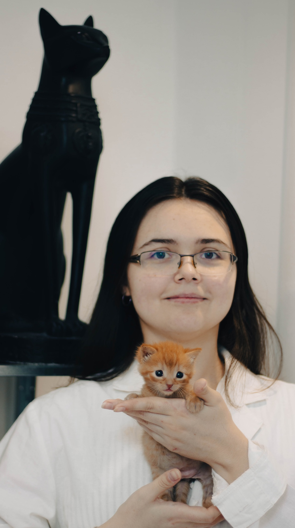 Кошачий культ | Пикабу