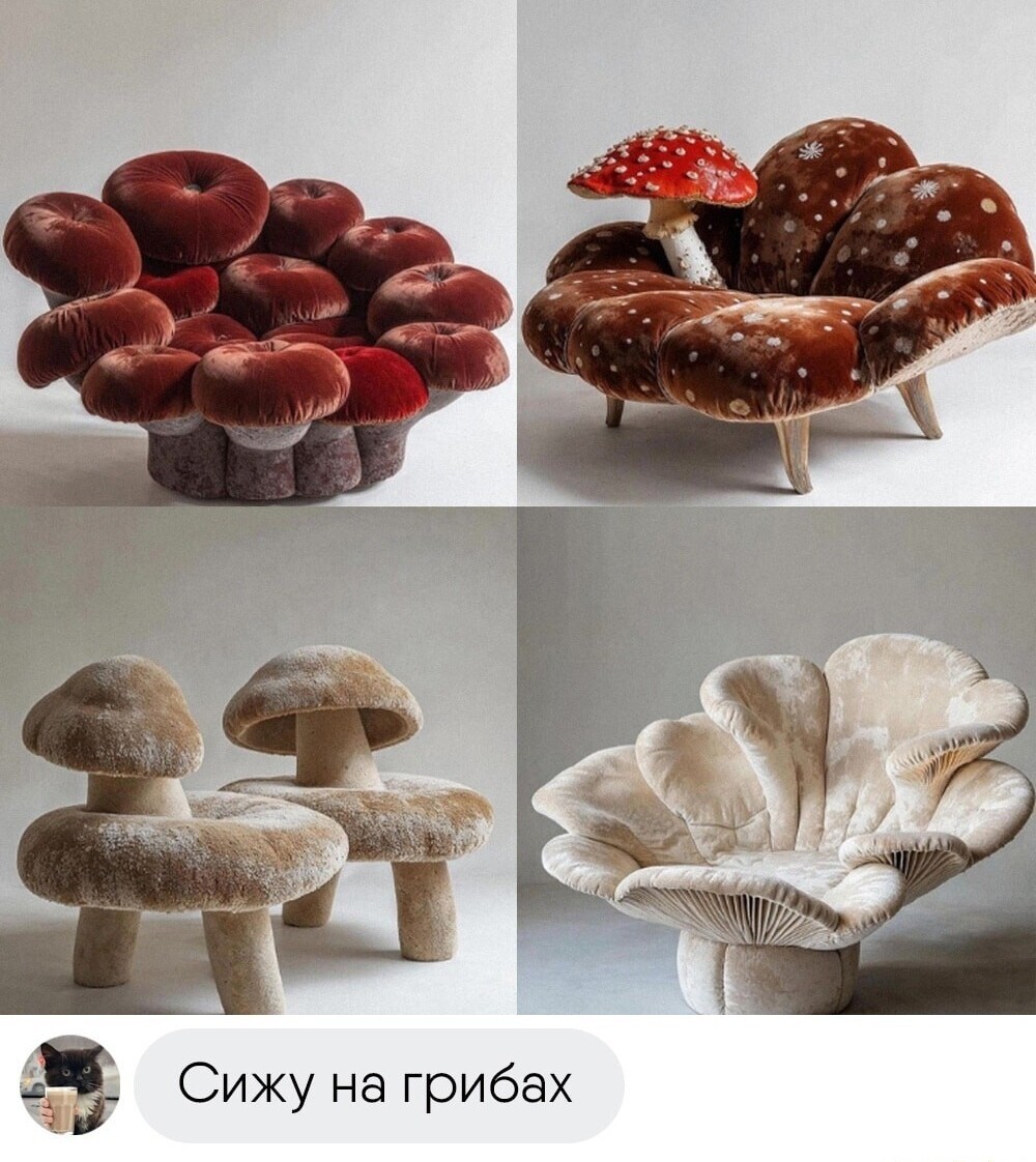 1710911590163279068.jpg