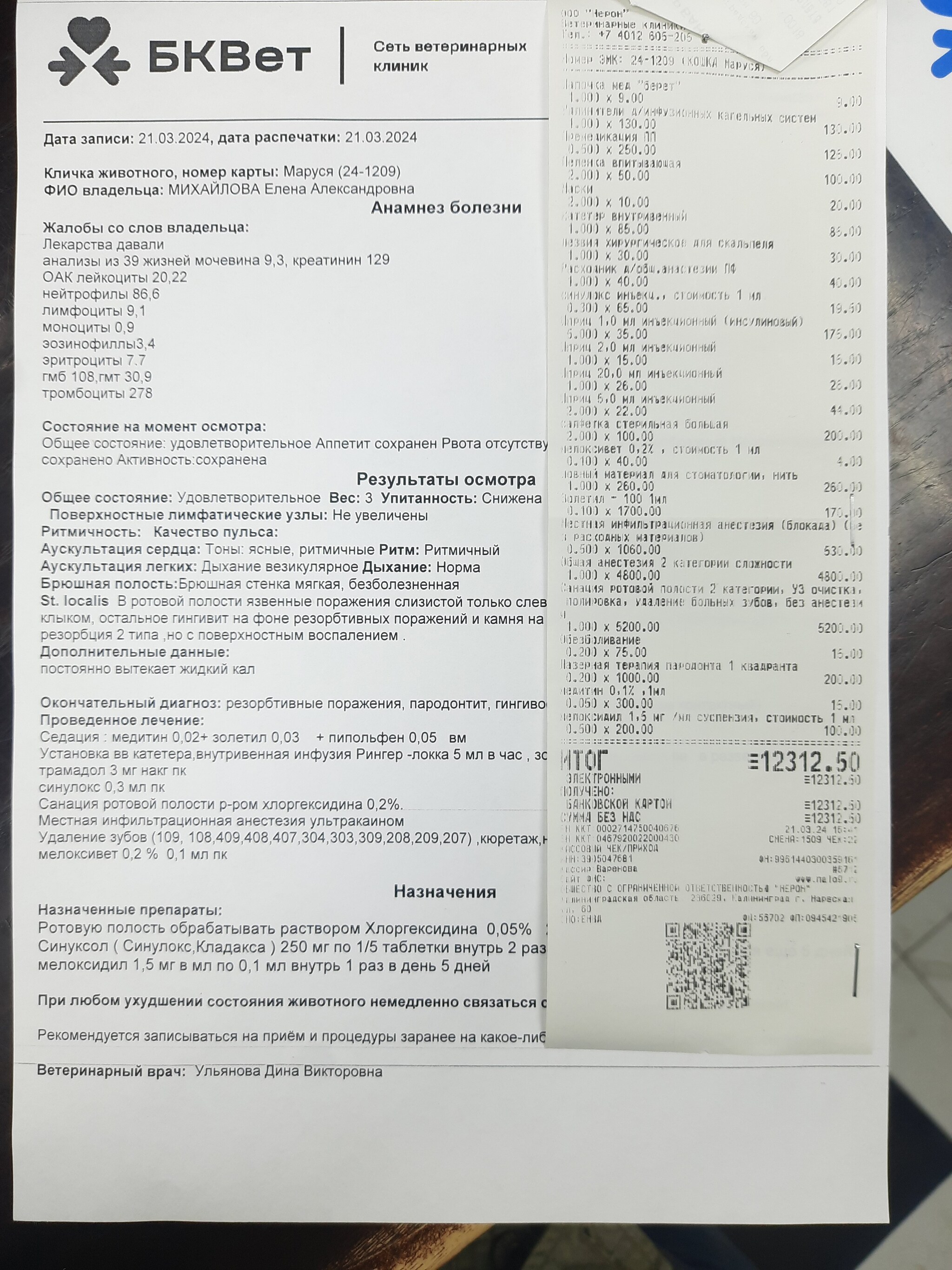 Санация ротовой полости Маруси | Пикабу