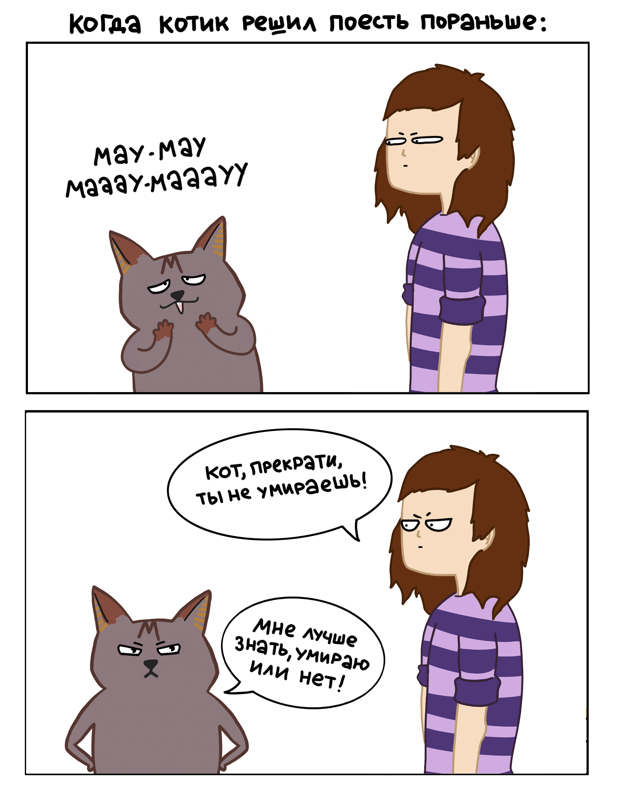 Почему котам тяжело с людьми? | Пикабу