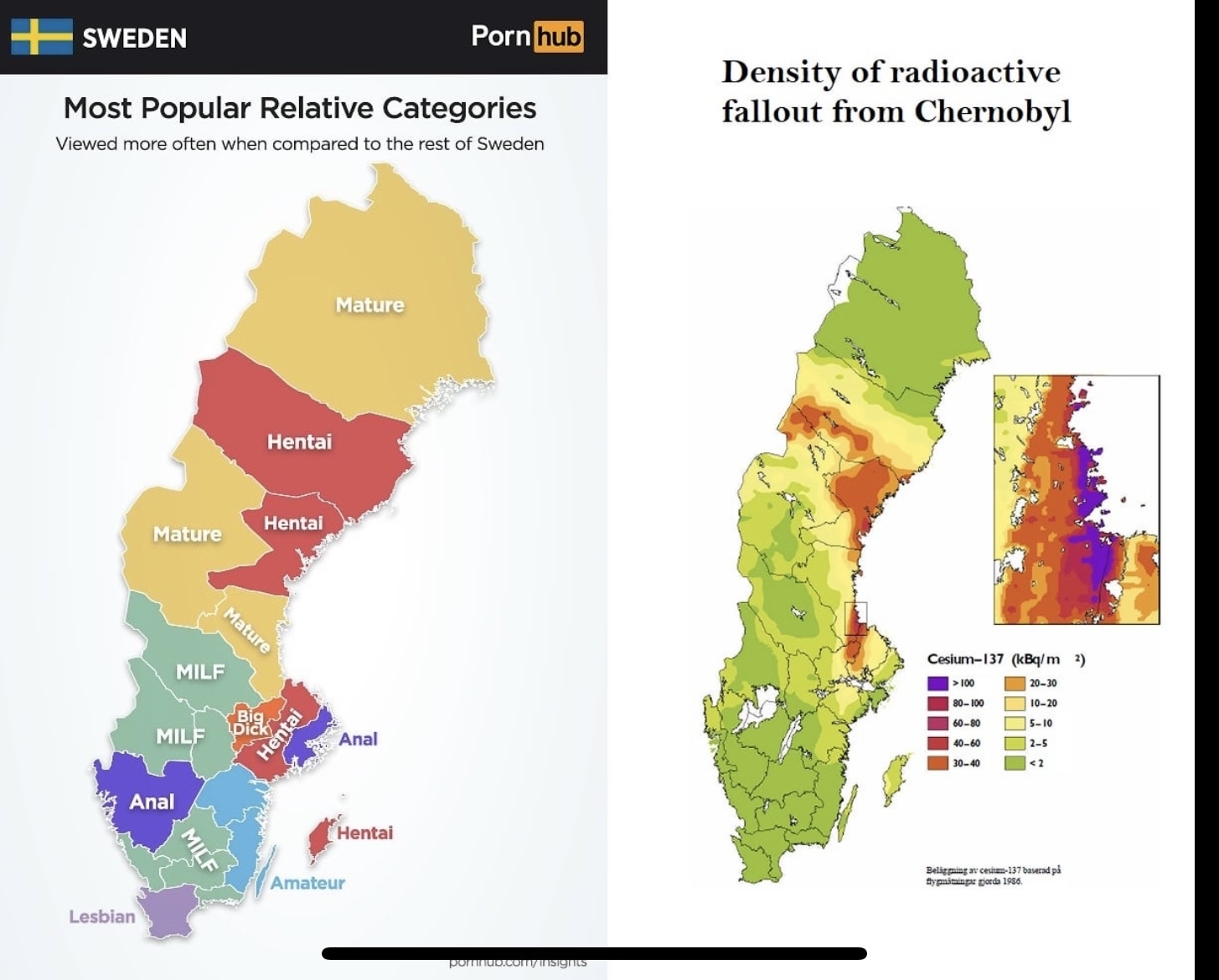 Предпочтения в порно у шведов | Пикабу