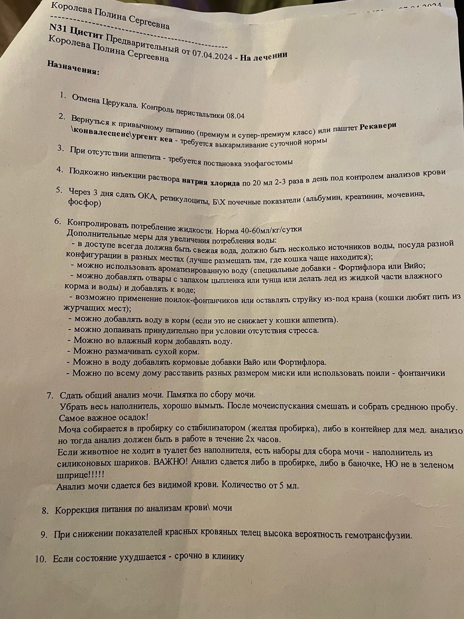 Помогите, пожалуйста! Под вопросом рак желудка у кота | Пикабу