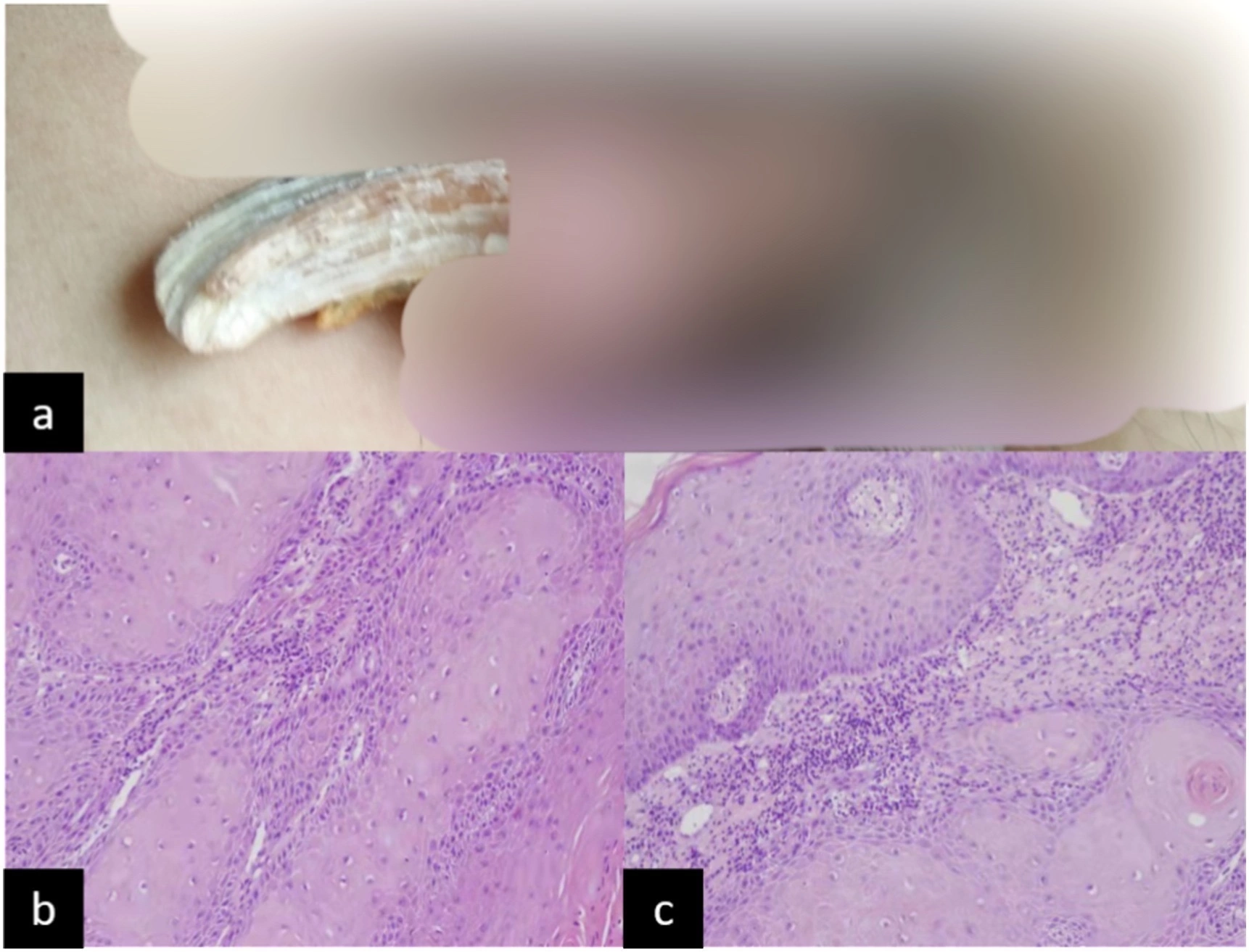 медосмотр член Справки члена совета Министерства внутренних дел по вопросам о профсоюзах и о страховании рабочих | Президентская библиотека имени Б.Н. Ельцина