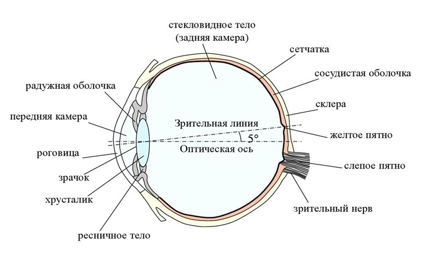 Что делать, если стремительно падает зрение?