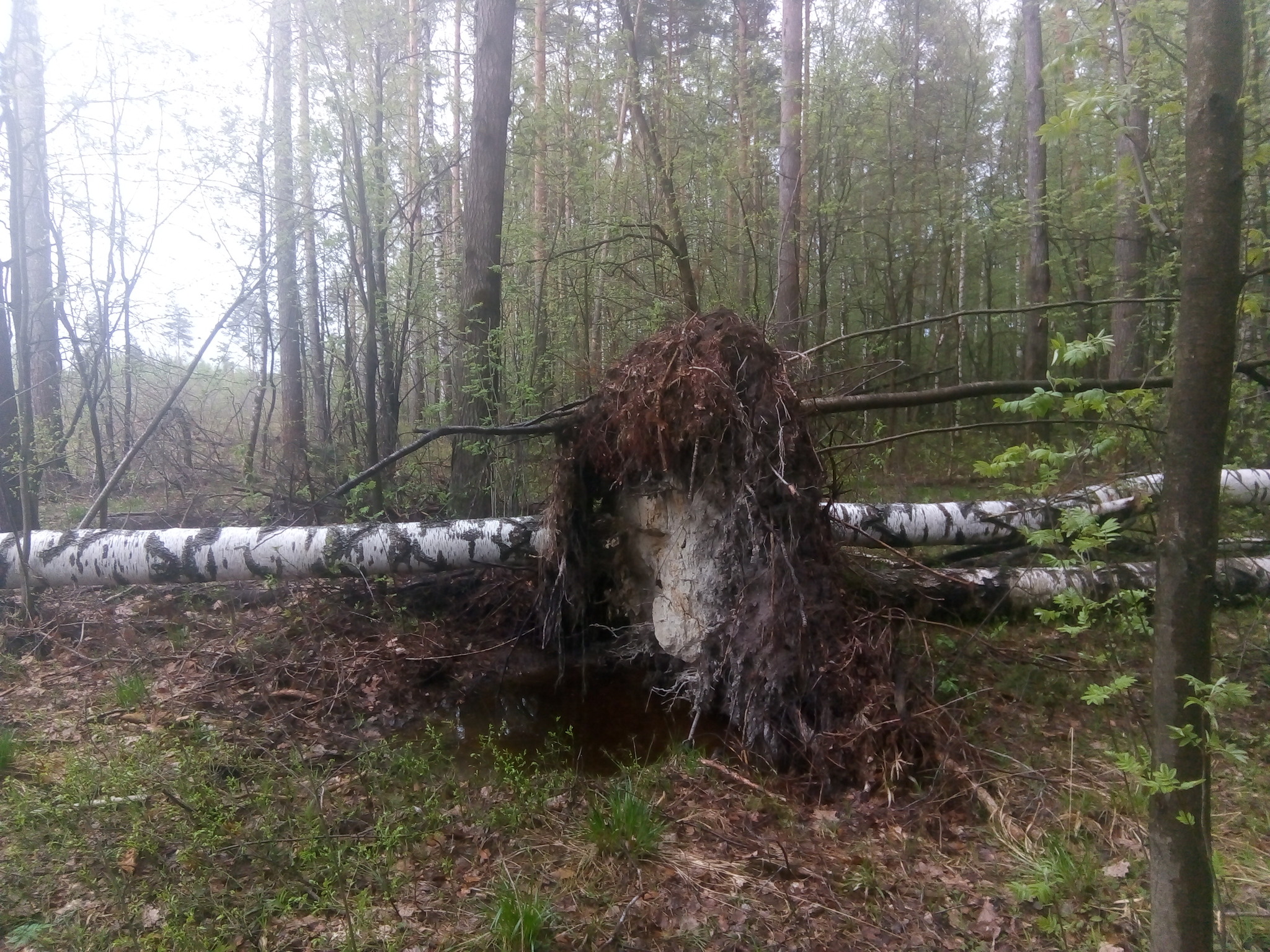 Удивительное рядом, но оно запрещено