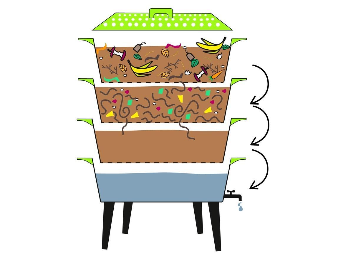 Вермитехнология: переработка отходов с помощью червей | Пикабу