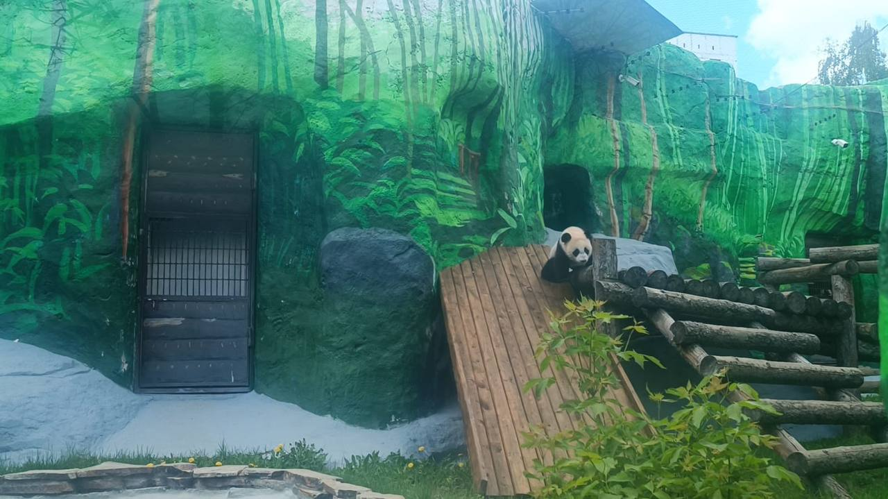 Наконец-то | Пикабу