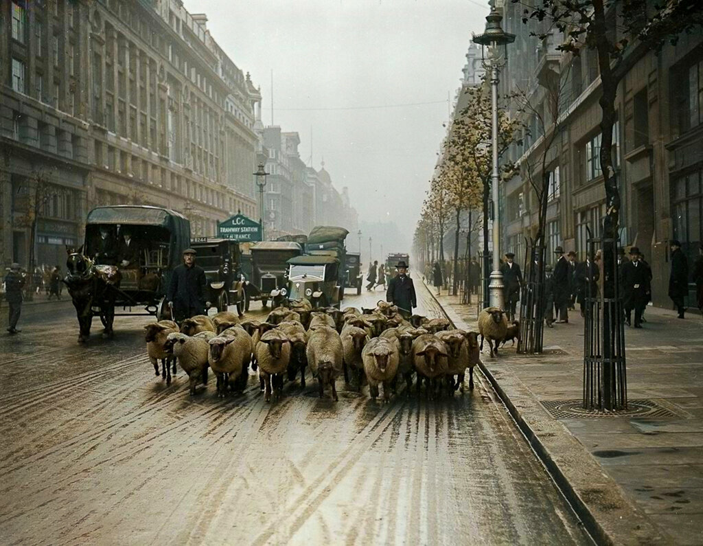 Любопытные фотографии из прошлого Англии. 20 раскрашенных фотографий ХХ  века | Пикабу