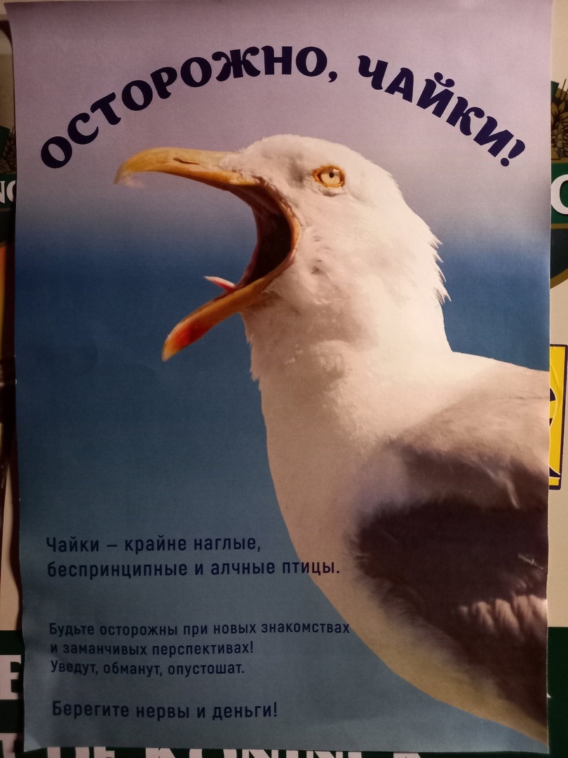 Ответ на пост «История» | Пикабу