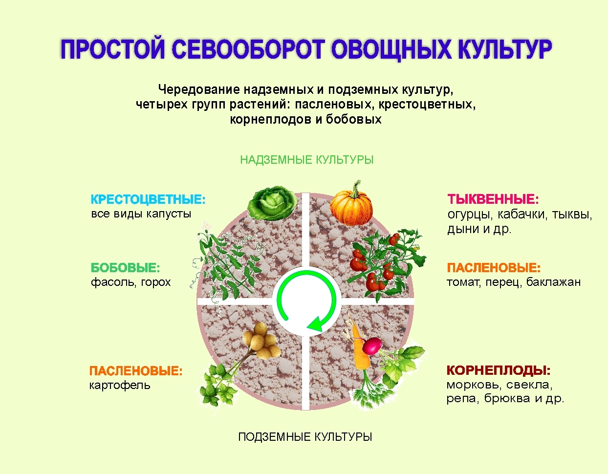 Как правильно построить овощехранилище на дачном участке с близко расположенными подземными водами?