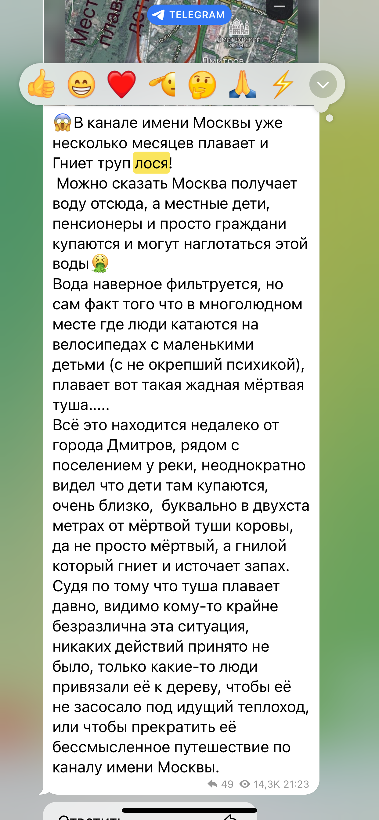 Жадная туша лося наводит шороху в подмосковном Дмитрове!!! | Пикабу