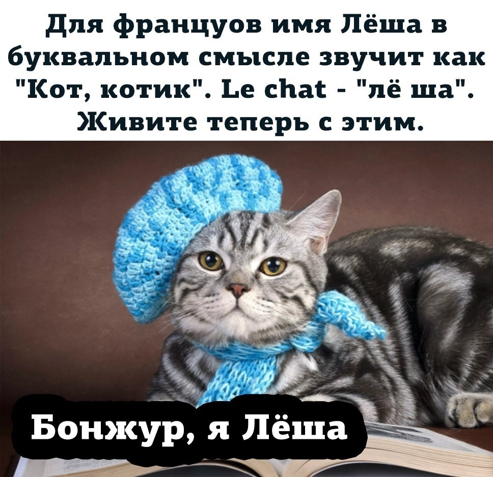 Бонжур . я Лёша . 