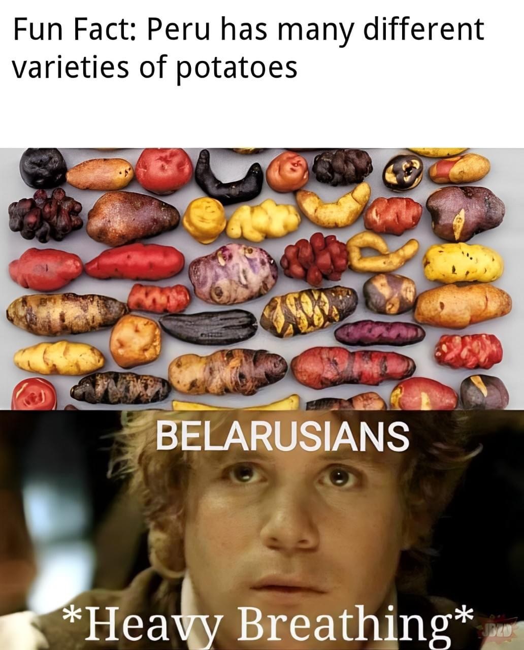 Картошечка | Пикабу