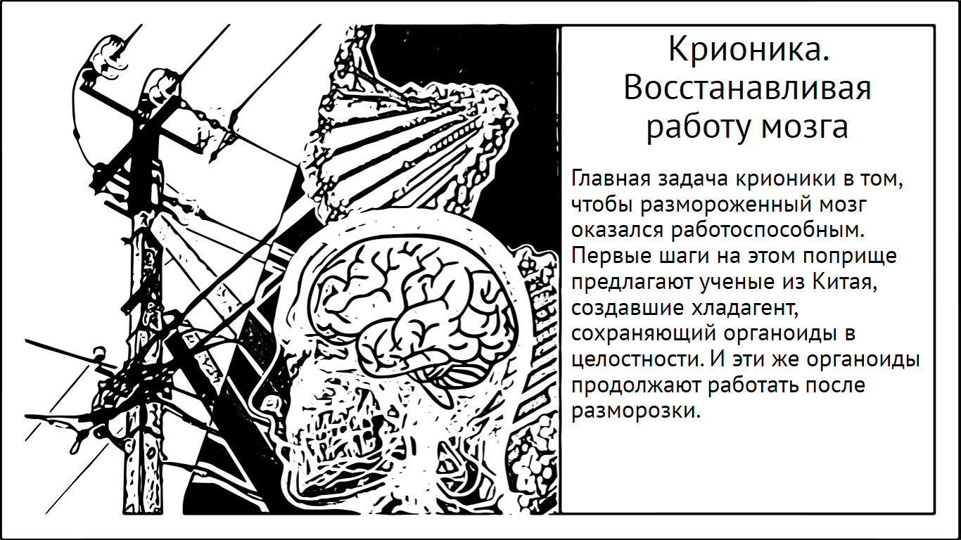 Крионика. Как заморозили, разморозили и «завели» ткань мозга | Пикабу