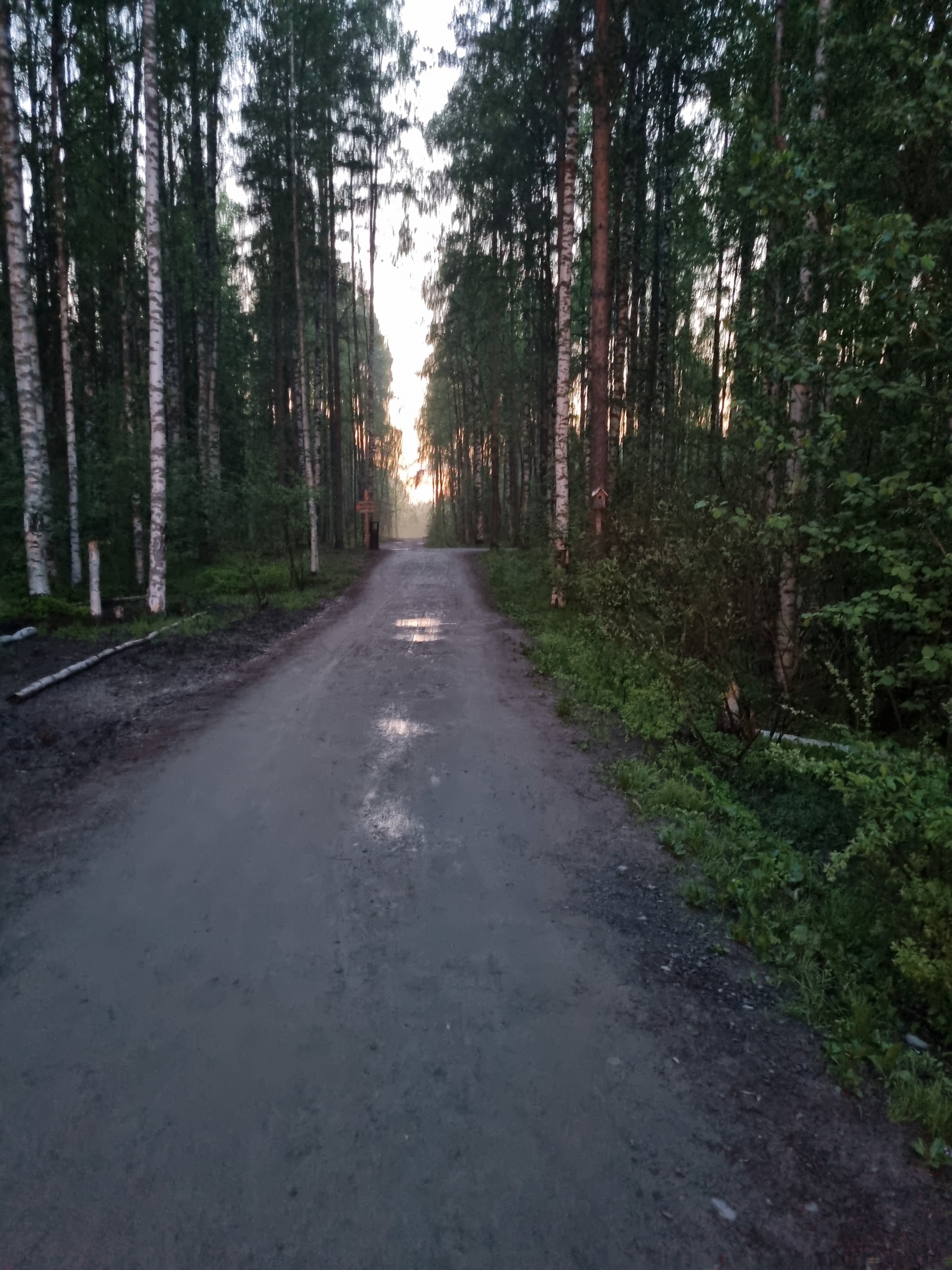 Петрозаводск, аллея, улица | Пикабу