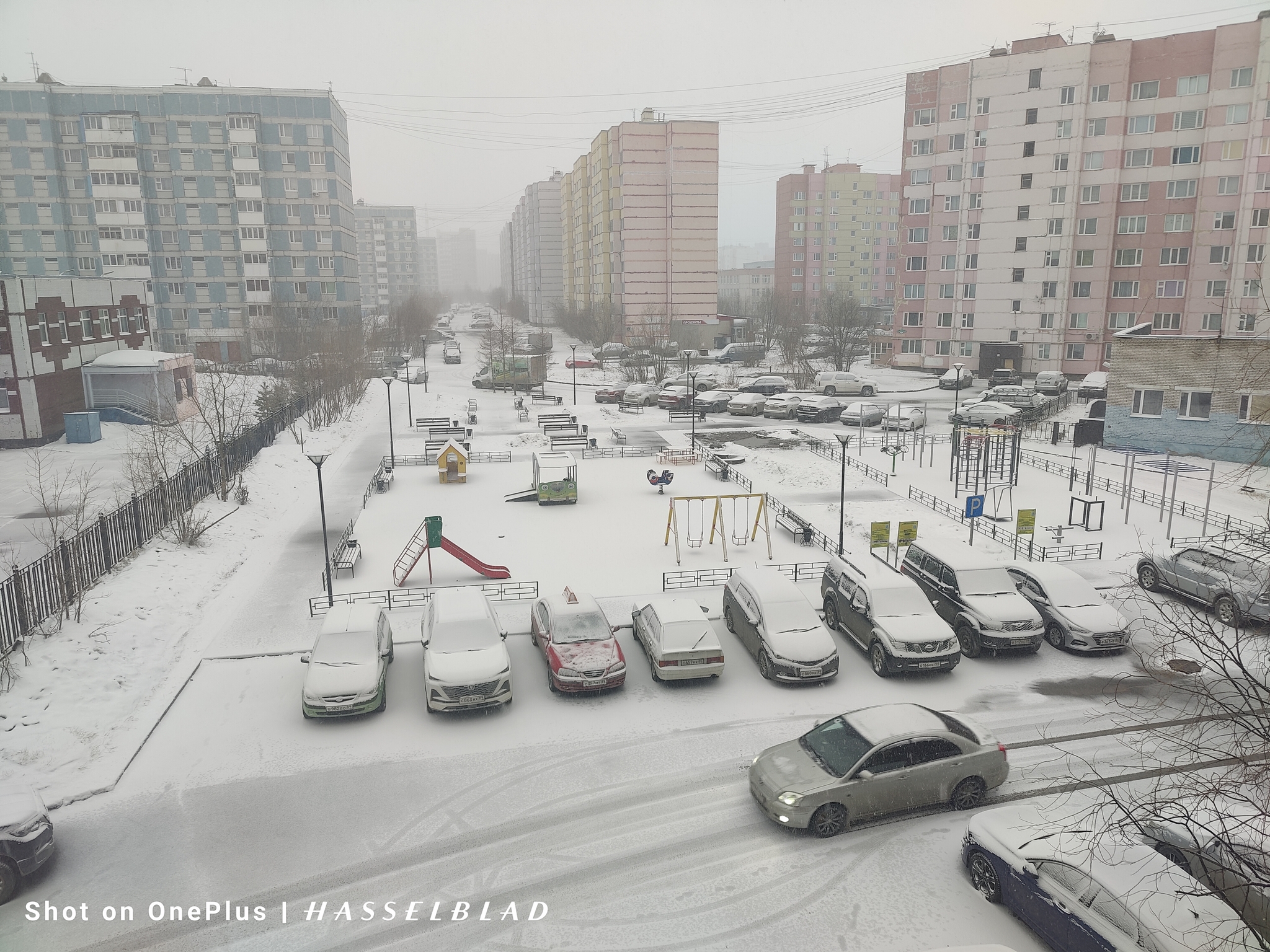 В самую холодную ночь в Японии труднее всего скорой помощи | Пикабу