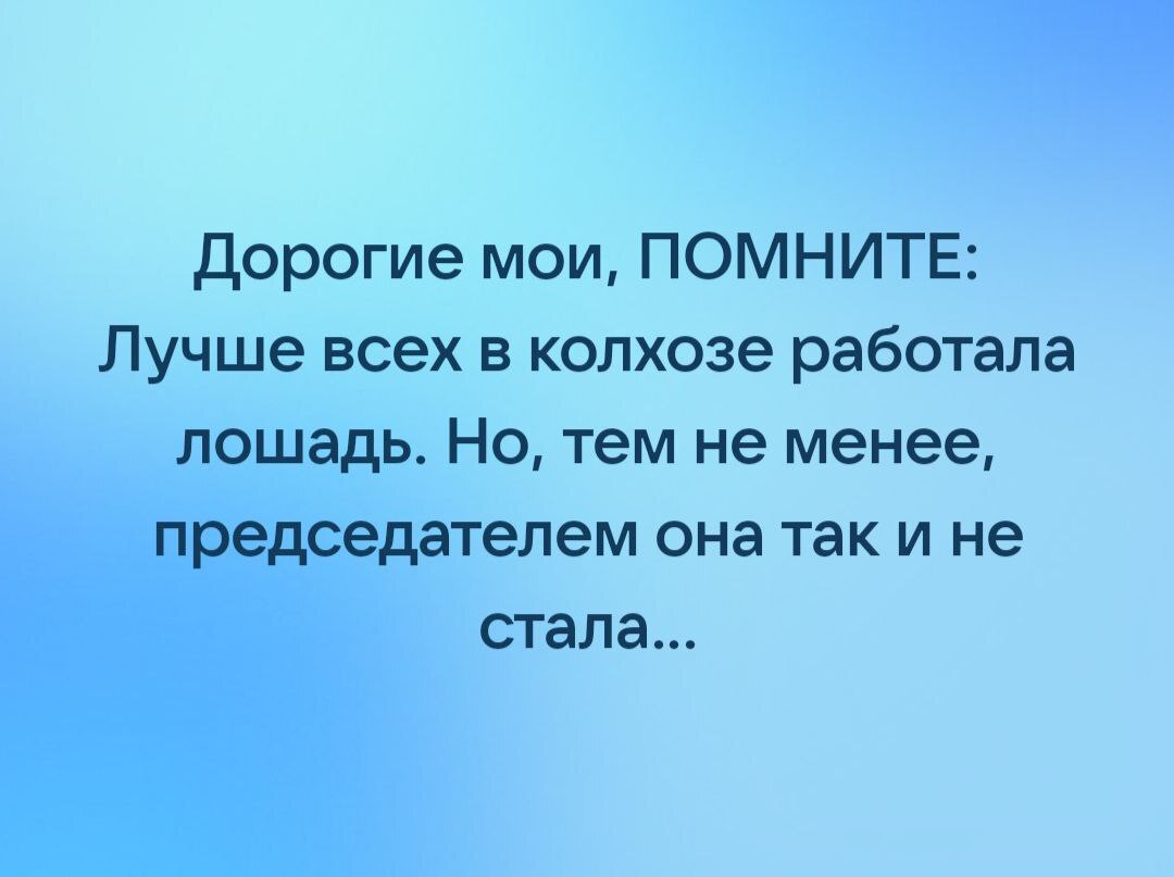 Председатель колхоза | Пикабу